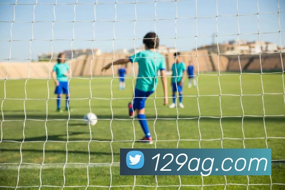 ag百家乐平台生态图